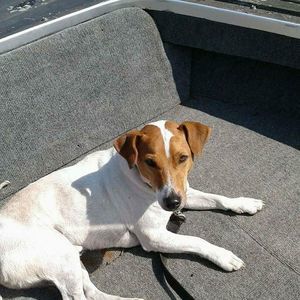 Meet your Posher, Donald